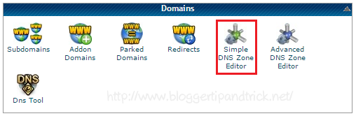 DNS Zone Editor