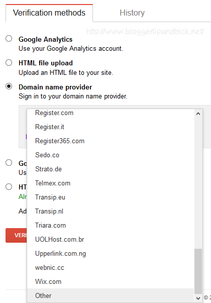 Select Other from Domain Name Provider