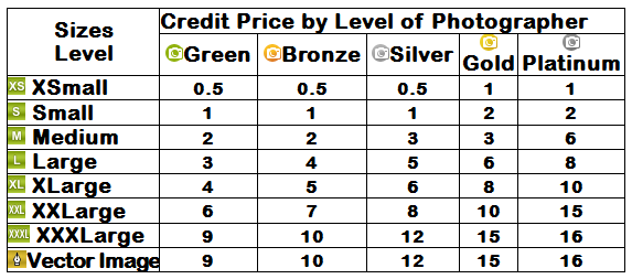 Depositphotos Plans and Prices