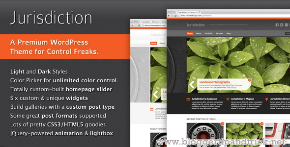 Jurisdiction Premium WordPress Template