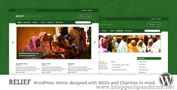 Relief Premium WordPress Template