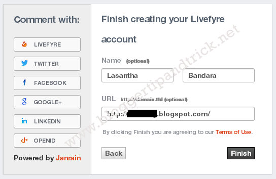 Livefyre Comments Install-Step 3