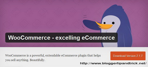 WooCommerce - excelling eCommerce