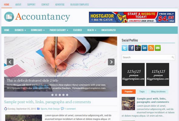 Accountancy Blogger Template