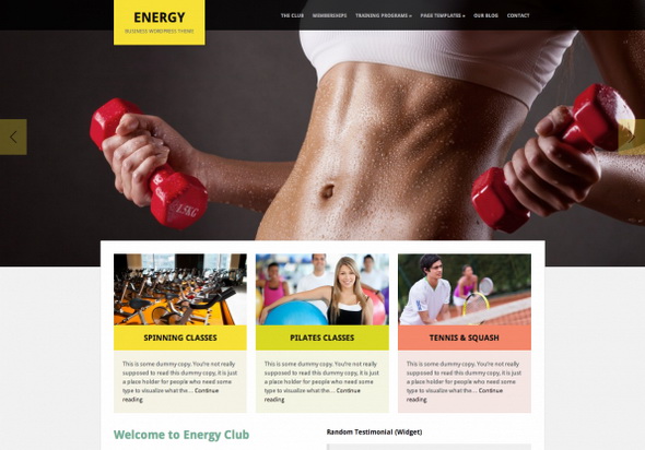  Energy Premium WordPress Theme