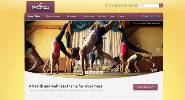 Wellness - A Health & Wellness WordPress Theme