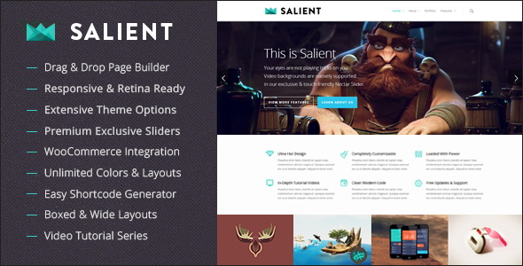 Salient - Responsive Multi-Purpose WordPress Theme