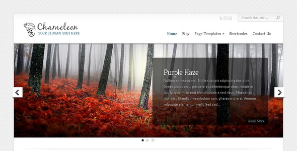 Chameleon - WordPress Theme