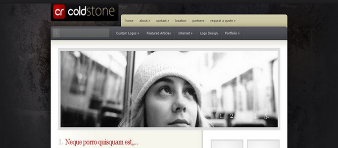 ColdStone - WordPress Theme