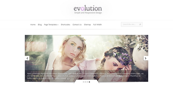 Evolution - Responsive WordPress Theme