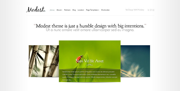 Modest - WordPress Theme