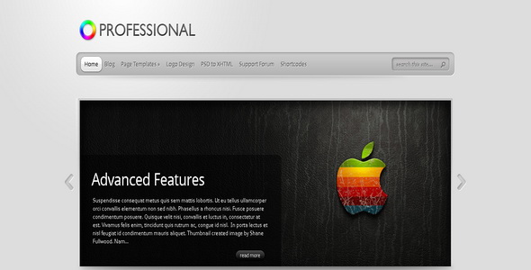 TheProfessional - WordPress Theme