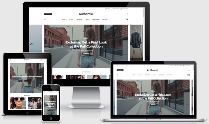 Authentic WordPress Theme