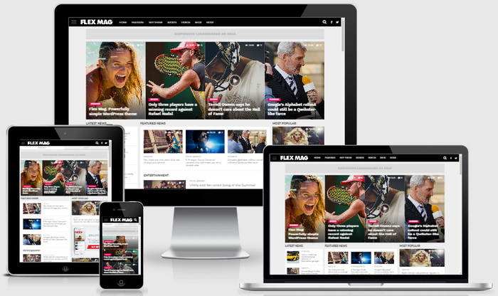 Flex Mag WordPress Theme