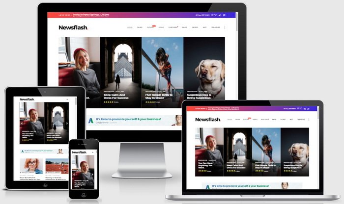 Newsflash WordPress Theme