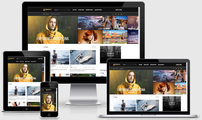 True Mag WordPress Theme