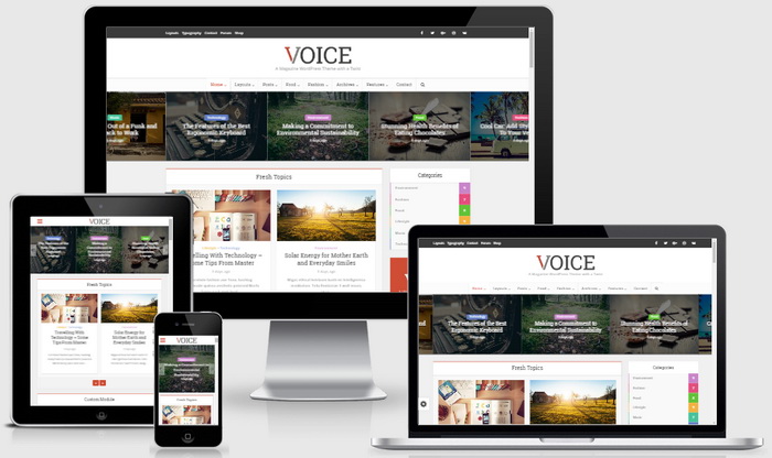 Voice WordPress Theme